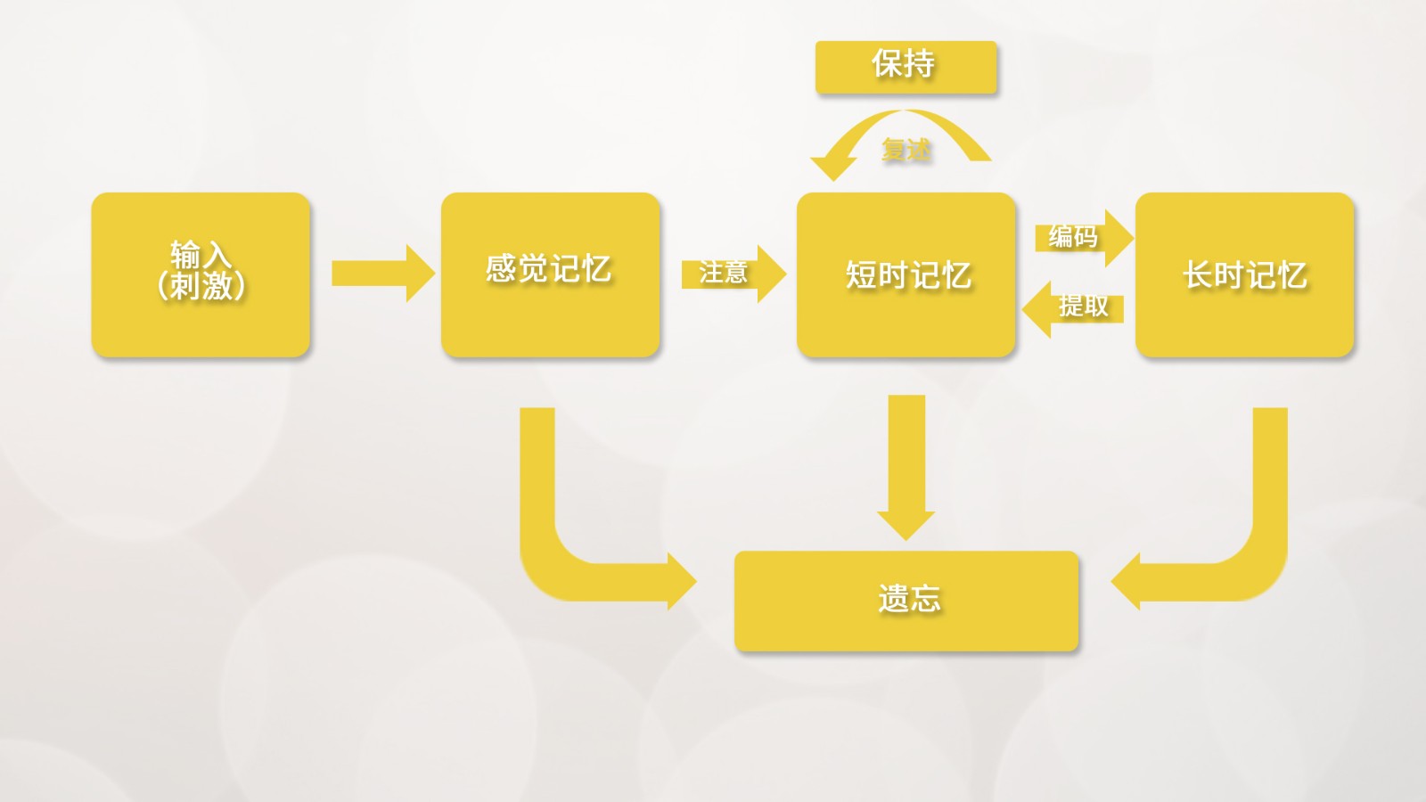 眼動儀在學習記憶研究領(lǐng)域的應(yīng)用